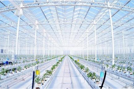 利用物联网技术，补偿传统农业弊端的现代农业，对植株的生长环境需求进行“精确”的定量，对产量进行有效率的制约，对质量更好的把关，农业物联网由感知层、传输层和处理层三部分构成